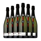 Segura Viudas Lavit Brut Nature Cava Reserva 75 cl Espumoso blanco (Caja de 6 Botellas de 75 cl)