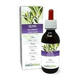 Olivo (Olea europaea) hojas Tintura Madre sin alcohol Naturalma - Extracto líquido gotas 120 ml - Complemento alimenticio - Vegano