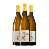 Principia Mathematica del Vino: Análisis y Comparativa de los Mejores Vinos y Bebidas Alcohólicas