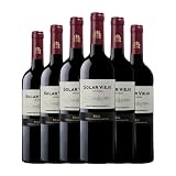 Solar Viejo Tempranillo Rioja Crianza 75 cl Vino tinto (Caja de 6 Botellas de 75 cl)