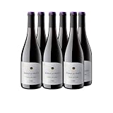 Deliex - Vino Bodega La Ermita Ribera del Duero, Rioja, Jumilla o Toro. 6 botellas de vino tinto a elegir la denominación de Origen (6 Botellas, Toro)
