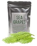Umibudo Uvas de Mar - Alga verde en salmuera, caviar verde deshidratado - Peso neto: 50 g, rinde unos 250 g una vez rehidratadas