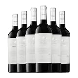 Sommos Somontano Crianza 75 cl Vino tinto (Caja de 6 Botellas de 75 cl)