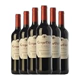 Campo Viejo Tempranillo Rioja Joven 75 cl Vino tinto (Caja de 6 Botellas de 75 cl)