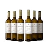 Azpilicueta Blanco Pack 6 botellas D.O.Ca Rioja Vino - 750 ml