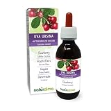 Gayuba o Uva ursi (Arctostaphylos uva ursi) hojas Tintura Madre sin alcohol Naturalma - Extracto líquido gotas 120 ml - Complemento alimenticio - Vegano
