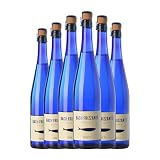 Bach Frizzante Moscato Catalunya Joven 75 cl Espumoso blanco (Caja de 6 Botellas de 75 cl)