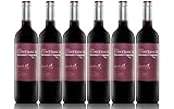 Finca Constancia Parcela 12 Graciano - Vino Tinto V.T. Castilla - 6 botellas de 750 ml - Total: 4500 ml