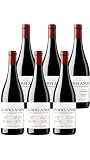 Cerro Añón Crianza – Vino Tinto D.O. Rioja | Pack de 6 Botellas (75 cl) | Envío Gratis | Tradición y Elegancia