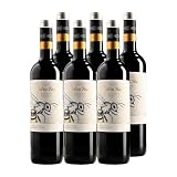 Cuatro Rayas Organic Tempranillo (6 Botellas x 750ml)