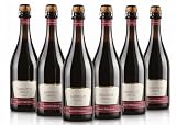 Sant'Orsola Lambrusco Emilia IGT Vino Tinto Seco Italiano - 6 Botellas X 750ml