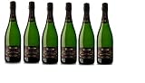 CAJA CON 6 BOTELLAS DE RECAREDO BRUT NATURE GRAN RESERVA ELS TERRERS 'DEGÜELLE RECIENTE'