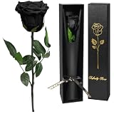 Yamonic Rosa Eterna Regalos Mujer, Rosa Preservada con Tallo Regalo Cumpleaños Mujer, Flores Preservadas Regalos Mujer, Rosa Eterna Natural Preservada Regalo San Valentín (1-Negro, 1)