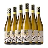 Godelia Viernes Godello Bierzo 75 cl Vino blanco (Caja de 6 Botellas de 75 cl)