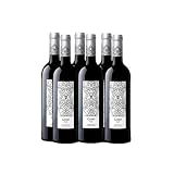 Garbo - Tinto Semicrianza Botella 75 cl (D.O. Montsant) - Pack de 6 botellas - 4500ml