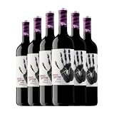 Paco García Seis Rioja Roble 75 cl Vino tinto (Caja de 6 Botellas de 75 cl)