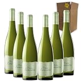 Viña Esmeralda - Ideal para maridar con Pescados y Arroces - Pack 6 Botellas 75cl
