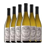 Virxe de Galir Pagos del Galir Godello Valdeorras Joven 75 cl Vino blanco (Caja de 6 Botellas de 75 cl)