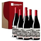 Vallejo 2021 Tinto Tempranillo D.O. Ribera del Duero 6 Botellas x 75 cl