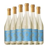 Botter Carlo Doppio Passo Grillo Sicilia 75 cl Vino blanco (Caja de 6 Botellas de 75 cl)