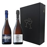 Cavas Hill Pack Regalo Premium, Panot Gaudi Brut Nature y Brut Reserva, Cava del Penedès, Estuche Negro de Lujo, 2 Botellas