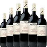 Dehesa La Granja Vino Tinto con Crianza, elaborado con Tempranillo, ideal para acompañar carnes, quesos curados y platos tradicionales con carácter| 6 botellas
