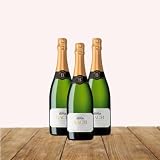 EUROLOTES Cava Bach Extrisimo Brut Nature, 750ml, Vino Espumoso, España, 3 Botellas