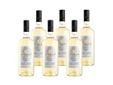 MASI 'MODELLO PINOT GRIGIO' 2024 | Pinot Grigio delle Venezie DOC | 6x750 ml | Caja de 6 botellas