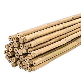 PLANTAWA Tutores de Bambú 150 cm Paquete 25 Unidades Ø 12-14 mm | Tutores Plantas para Entutorar Tomates y Plantas | Cañas para Plantas con Variedad de Tamaños. Cañas de Bambu Resistentes.