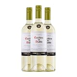 Concha y Toro Casillero del Diablo Sauvignon Blanca Valle Central 75 cl Vino blanco (Caja de 3 Botellas de 75 cl)
