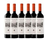 Coto de Imaz Reserva | Vino Tinto DOC Rioja | Caja 6 botellas de 750ml | Variedad Tempranillo | Potente y Equilibrado