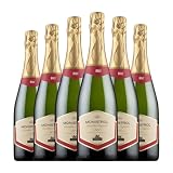 Marqués de Monistrol Selección Especial Brut Cava Joven 75 cl Espumoso blanco (Caja de 6 Botellas de 75 cl)