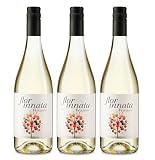 Frizzante 5.5 Flor Innata – Vino Blanco Espumoso Suave de Verdejo & Gewürztraminer – Pack 3 Botellas (3x75 cl) – Burbuja Fina, Graduación Baja, Ideal para Brindar sin Complicaciones