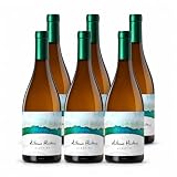 Antonio Montero Albariño 2025 D.O. Rías Baixas – Pack 6 Botellas de 750 ml – Vino Blanco 100% Albariño – Seleccionado y Enviado por Devinoavino