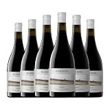 Vintae Bardos Tempranillo Ribera del Duero Roble 75 cl Vino tinto (Caja de 6 Botellas de 75 cl)