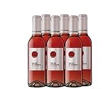 René Barbier - Vino Rosado Tradicion - pack de 6 de 370 ml - Total: 2220 ml