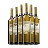 Orchidea vino: análisis y comparativa de las mejores selecciones