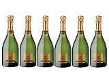 Freixenet Cava Meritum- 6 Paquetes de 750 ml - Total: 4500 ml
