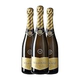 Vilarnau Vintage Cava Gran Reserva 75 cl Espumoso blanco (Caja de 3 Botellas de 75 cl)