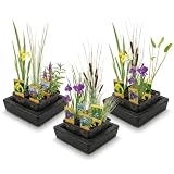 vdvelde.com - Plantas de estanque 12 uds, 3 cestas y 3 aros flotantes