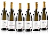 Canti - Vino espumoso blanco D.O.C.G., Moscato d'Asti, variedad de uva italiana de Piamonte, sabor afrutado y dulce, 6 x 750 ml