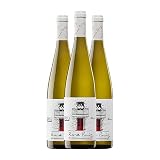 Santiago Ruiz Rosa Ruiz Albariño Rías Baixas Joven 75 cl Vino blanco (Caja de 3 Botellas de 75 cl)