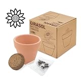 Maceta Terracota Semillas GIRASOL- Regalo ideal para bodas, comuniones, bautizos