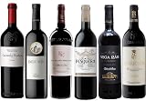 Análisis y comparativa de los mejores vinos de Ribera del Duero: criterios, bodegas y recomendaciones