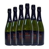 Juve Masana Brut Nature Cava 75 cl Espumoso blanco (Caja de 6 Botellas de 75 cl)