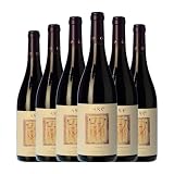Añadas Care Cariñena Roble 75 cl Vino tinto (Caja de 6 Botellas de 75 cl)