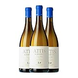 Attis Lias Finas Albarino 2022: Análisis y Comparativa de un Albariño de Clase