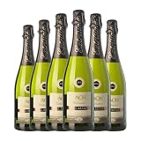 Bach Extrísimo Brut Nature Cava Joven 75 cl Espumoso blanco (Caja de 6 Botellas de 75 cl)