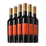 Bodegas Iglesias Ricahembra Solera 1980 Dulce Condado de Huelva Botella Medium 50 cl Vino generoso (Caja de 6 Botella Medium de 50 cl)