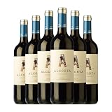 Campo Viejo Alcorta Tempranillo Rioja Crianza 75 cl Vino tinto (Caja de 6 Botellas de 75 cl)